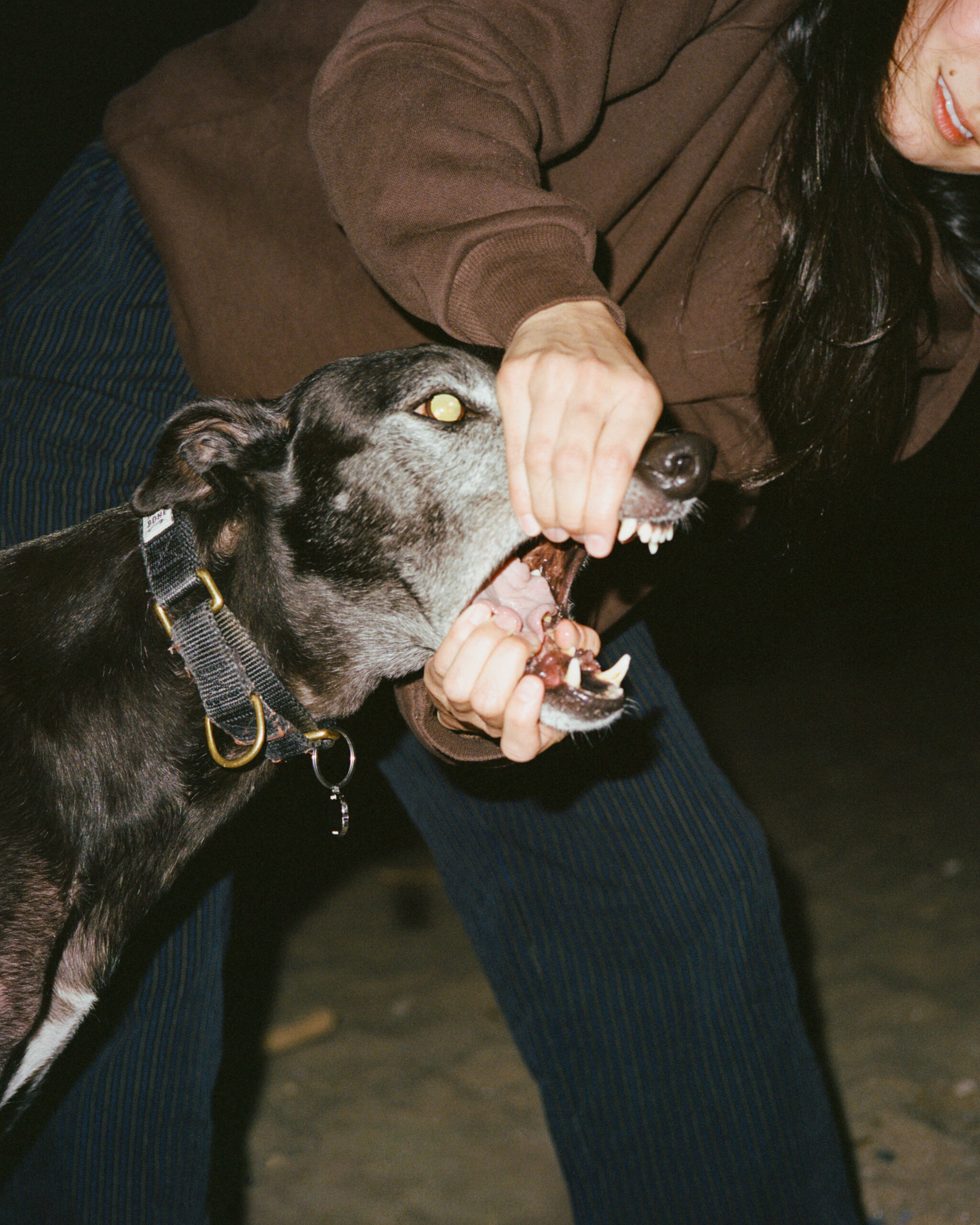 Jaws
